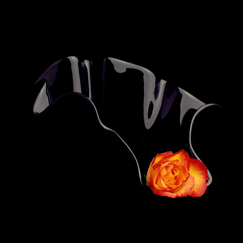 Rose in schwarzer Vase