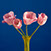 Vier Tulpen